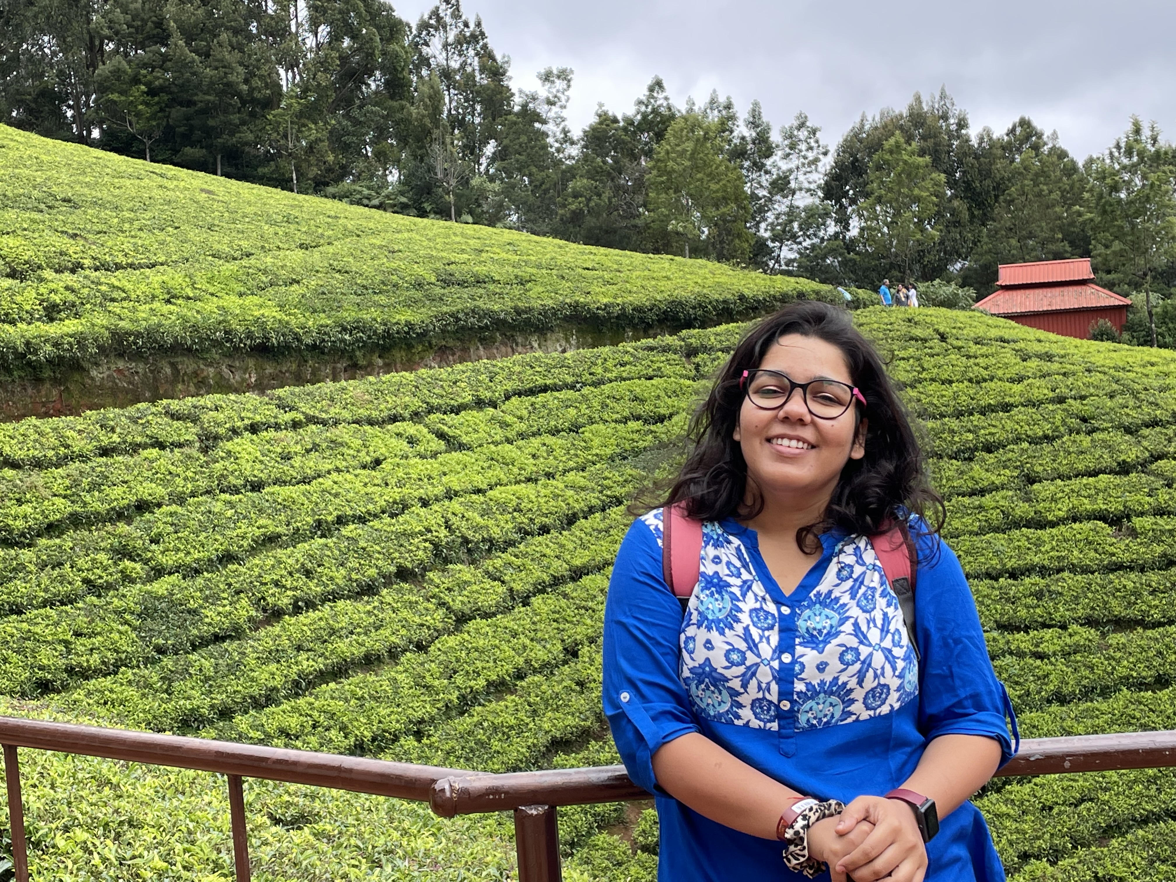 Tea estates in India